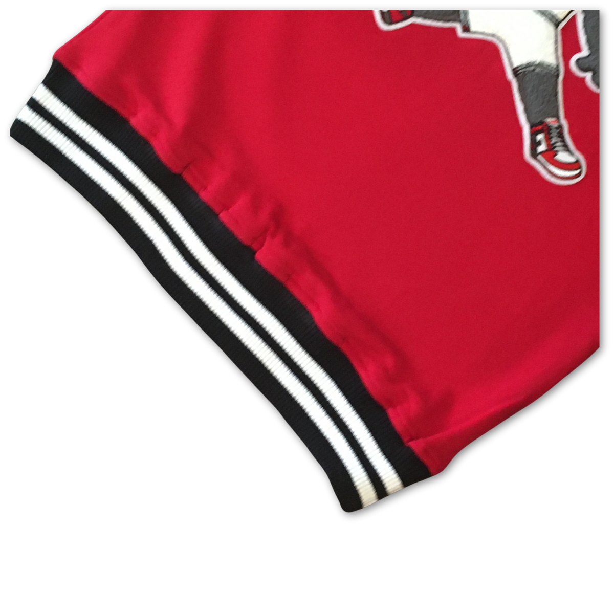 Men's Jordan Inspired Chicago Chenille Sweatshirt